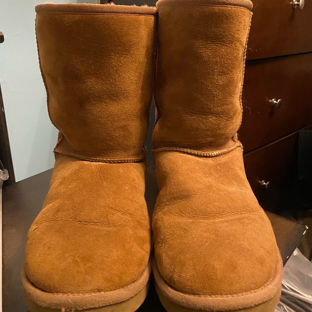 Chestnut classic short Ugg boots